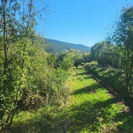 Caloroczny Stroza (Myslenice)