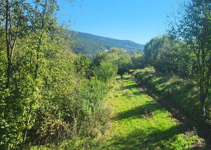 Caloroczny Stroza (Myslenice)